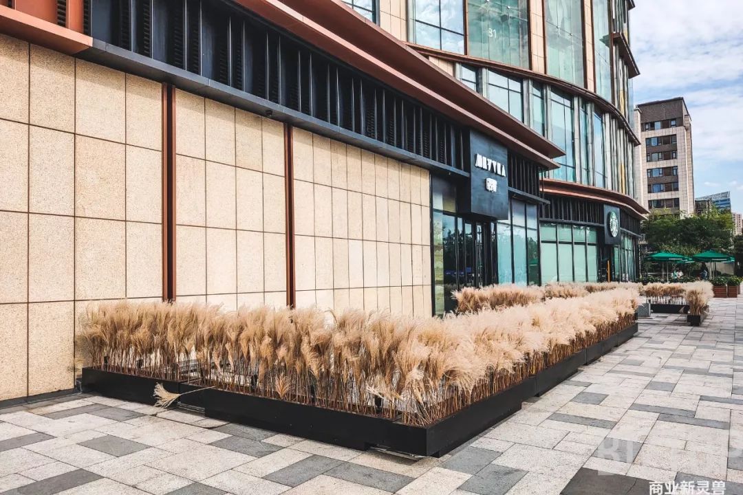 西安曲江金地广场6周年,曲江金地广场周边规划