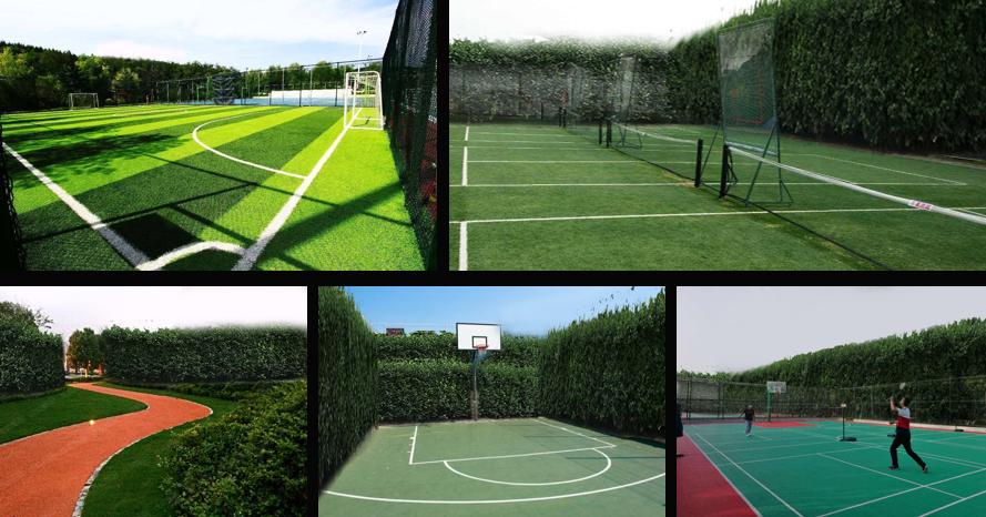 酷！空中连廊、岭南骑楼！桂城旧厂房大变身！美食美景样样有！