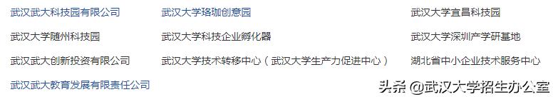 武汉未来10年发展规划,武汉公布最新重要消息