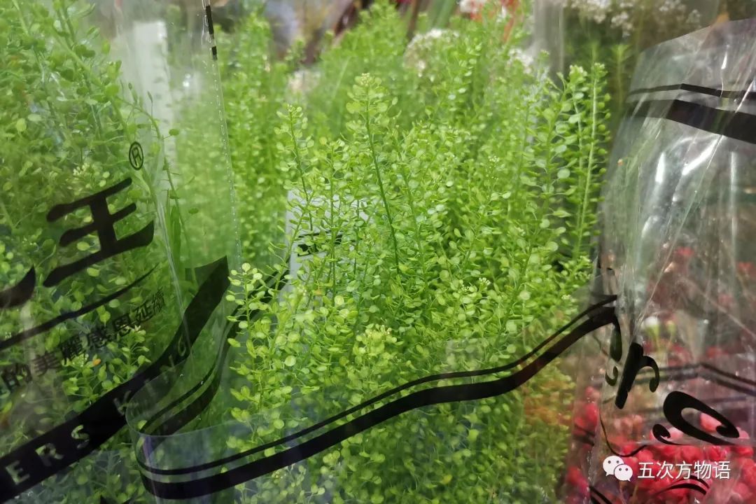 鲜切花都有哪些品牌,花卉市场买的月季不知道品种