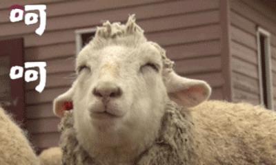 日本药妆店智商税,那些年我们交过的智商税