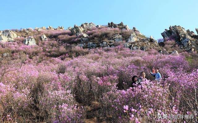 辽南高山景区,辽西九华山4A景区