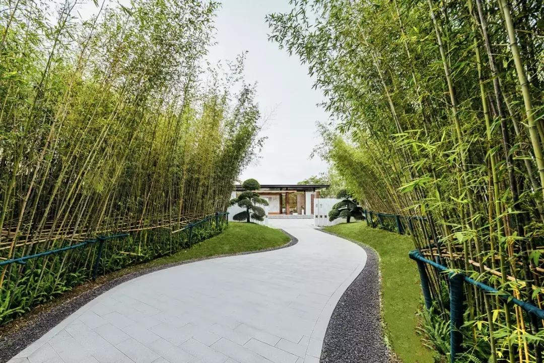 道天画卷寂然归心|怡品之珠海九洲保利天和·鹭语展示区