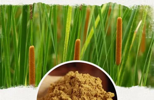 想要学习《金匮要略》,这20种陌生药物必须知道(建议收藏)