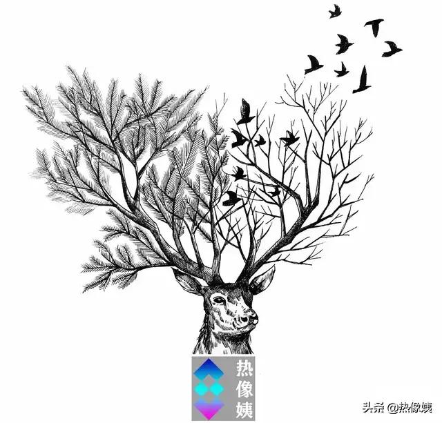 打猎高手被打脸：误把家猪当成野猪打！夏季热像仪狩猎指南