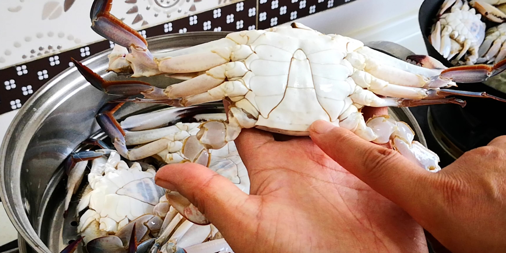 青岛老渔民教你如何挑肥螃蟹,买螃蟹的方法和技巧