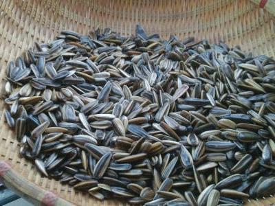 年货都准备好了吗,年货你们都准备了什么