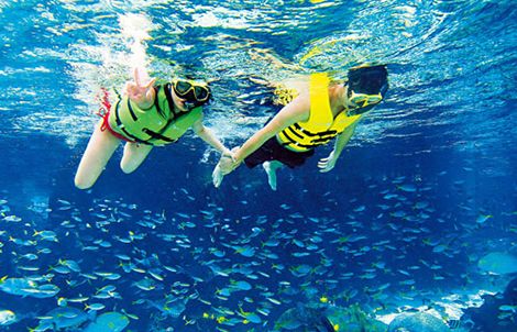 深潜与浮潜,深潜浮潜海钓