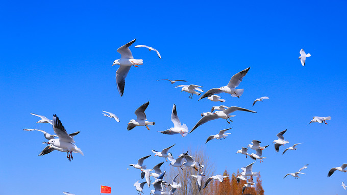 玩转云南昆明旅游攻略,云南昆明旅游全攻略最新