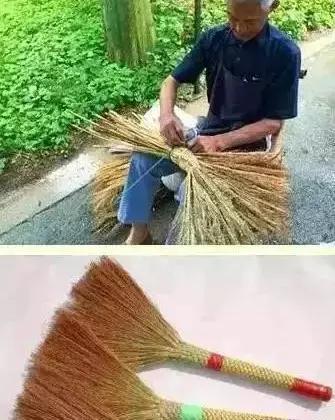 金铃子小时候的味道,芦稷儿时的味道