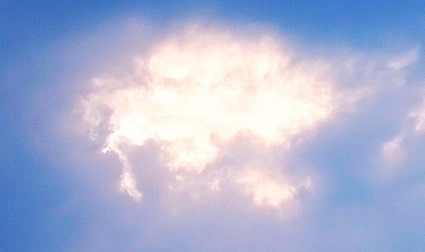 剁手党请注意网购骗局需警惕,剁手避坑