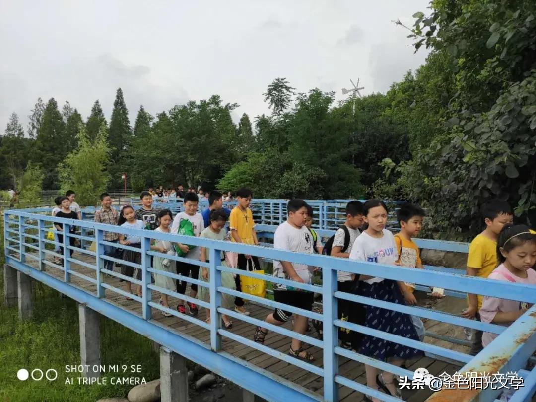 写给孙悟空的一封信,给孙悟空的一封信七年级