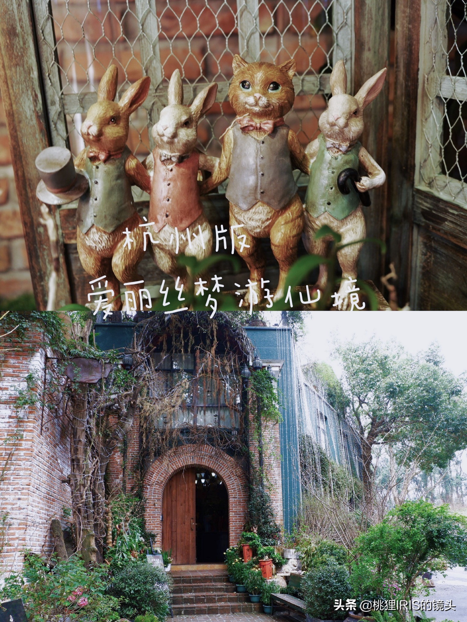 杭州小济州岛春游野营度假,良渚小奈良一日游