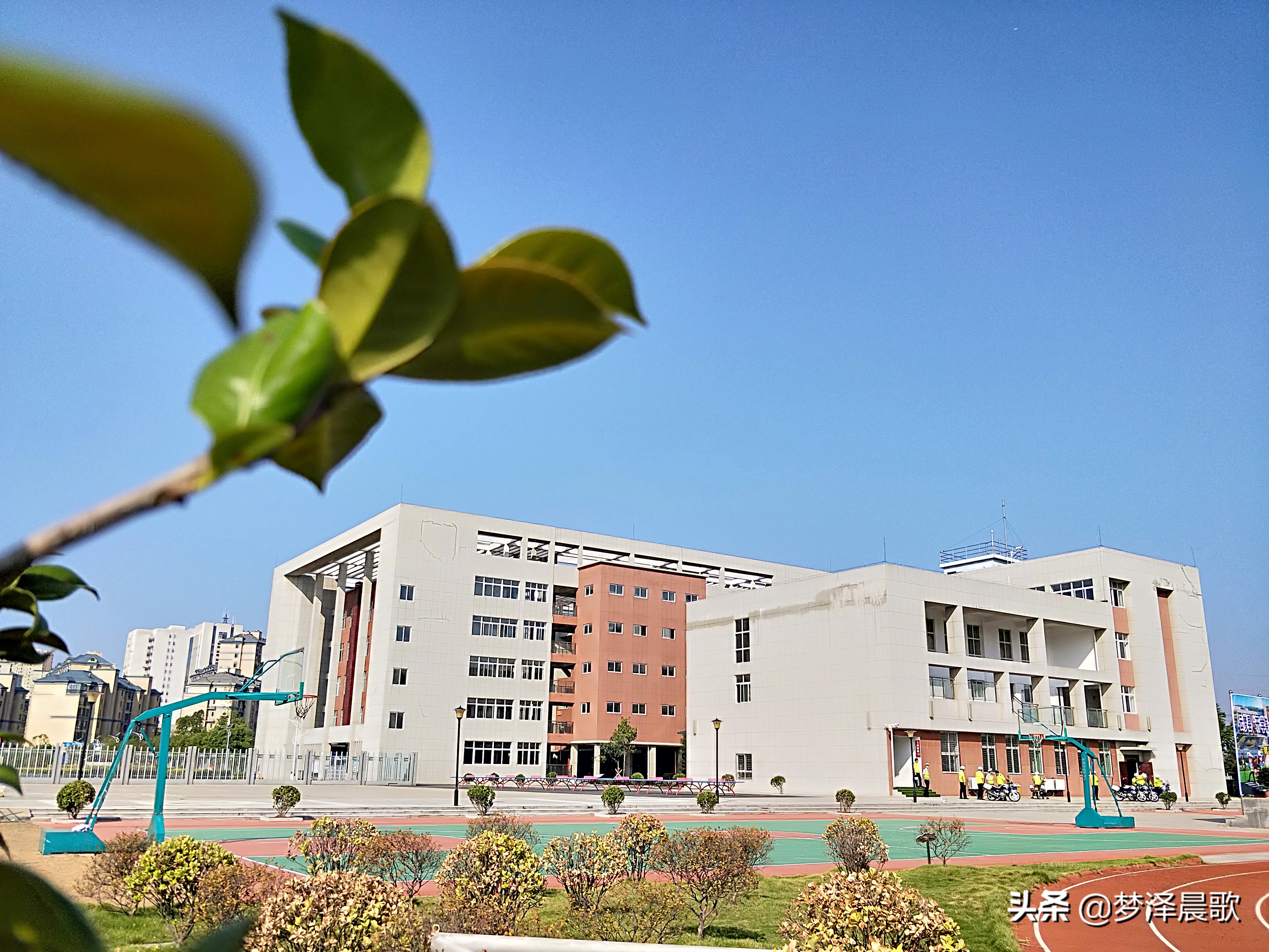 弘扬传统文化打造书香校园图片,传承红色基因创建绿美校园