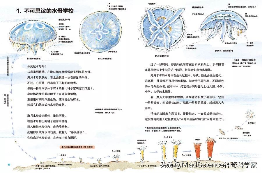 值得孩子阅读的100本经典读物,强烈推荐0-6岁孩子的成长阅读书单