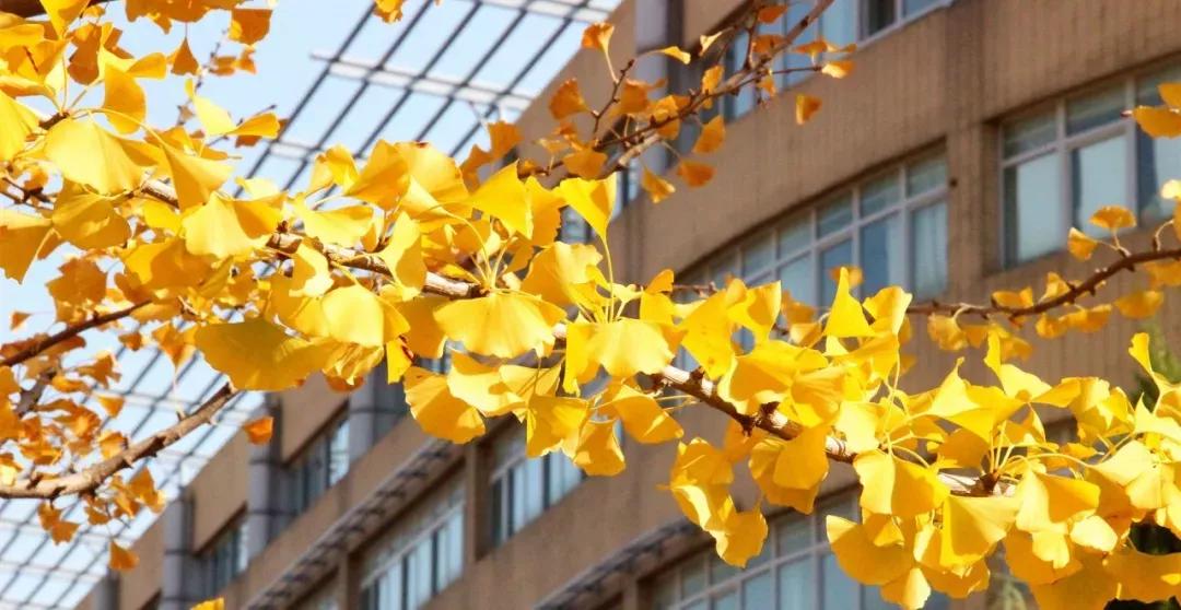 辽宁省高校(三十二)大连外国语大学