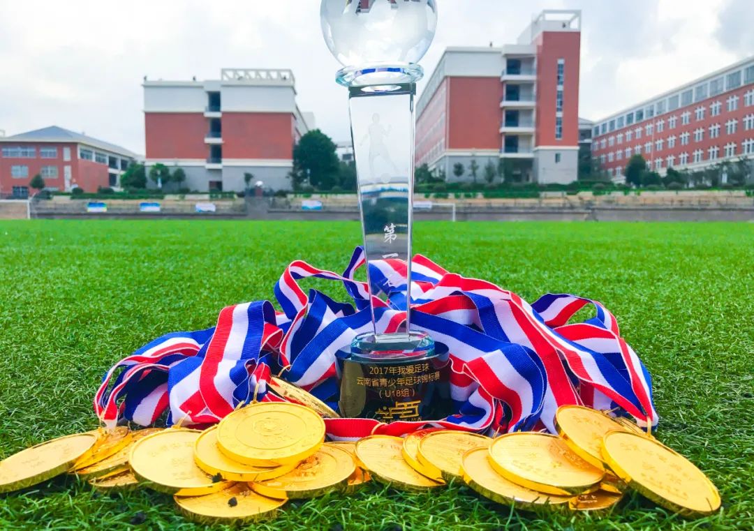 多元途径升学,多元升学路径2018