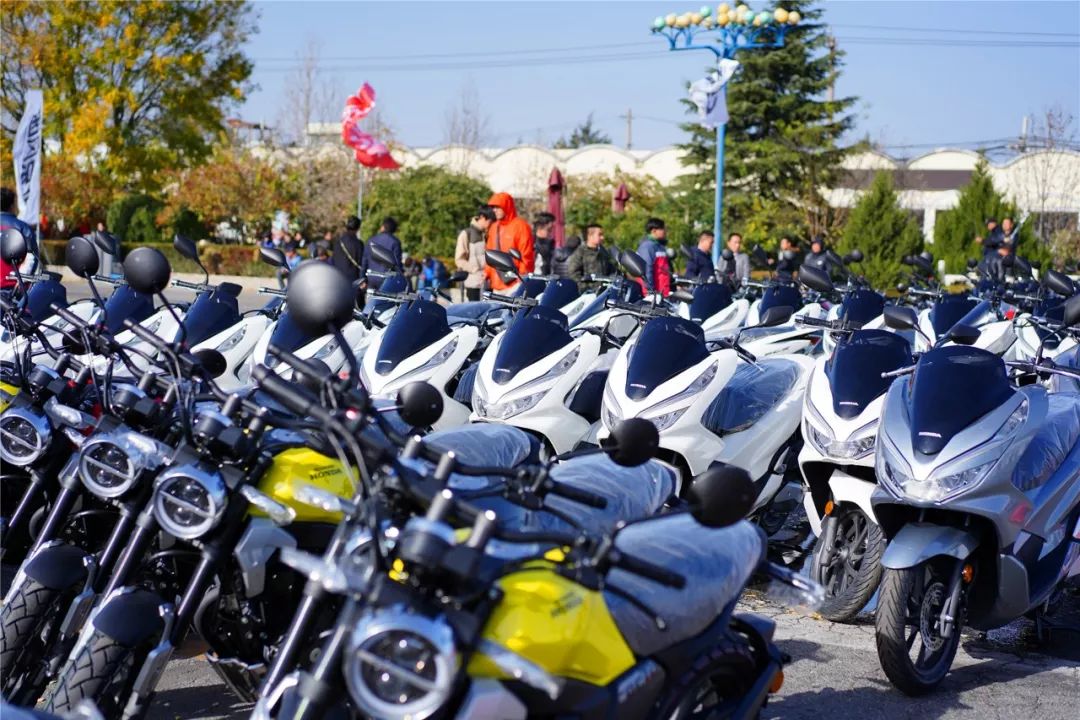 新大洲本田最新款cbf150s,新大洲本田风速田村店