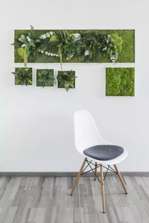 置爱｜植物1.0是种在盆儿里的，植物2.0都趴在墙上的