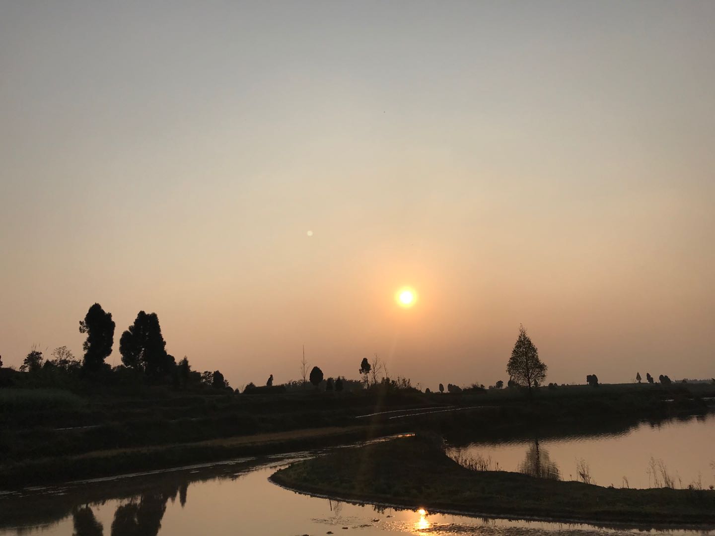 麻辣豆腐鱼正宗川味,香辣原味豆腐鱼