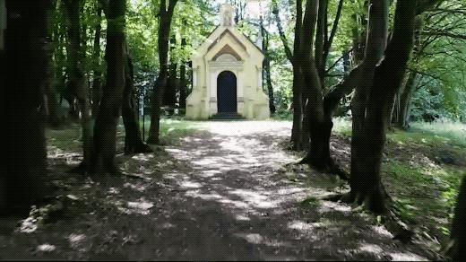 最适合拍vlog的设备手持自拍杆,拍vlog最好的自拍杆