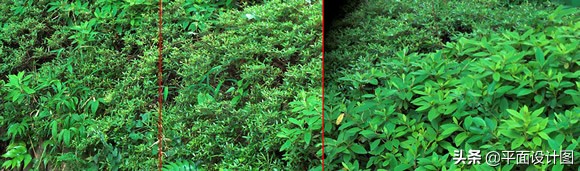 尼康和佳能全画幅怎么选,尼康18-135全画幅