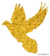 年度最热海岛游圣地大公开,塞舌尔自由行攻略