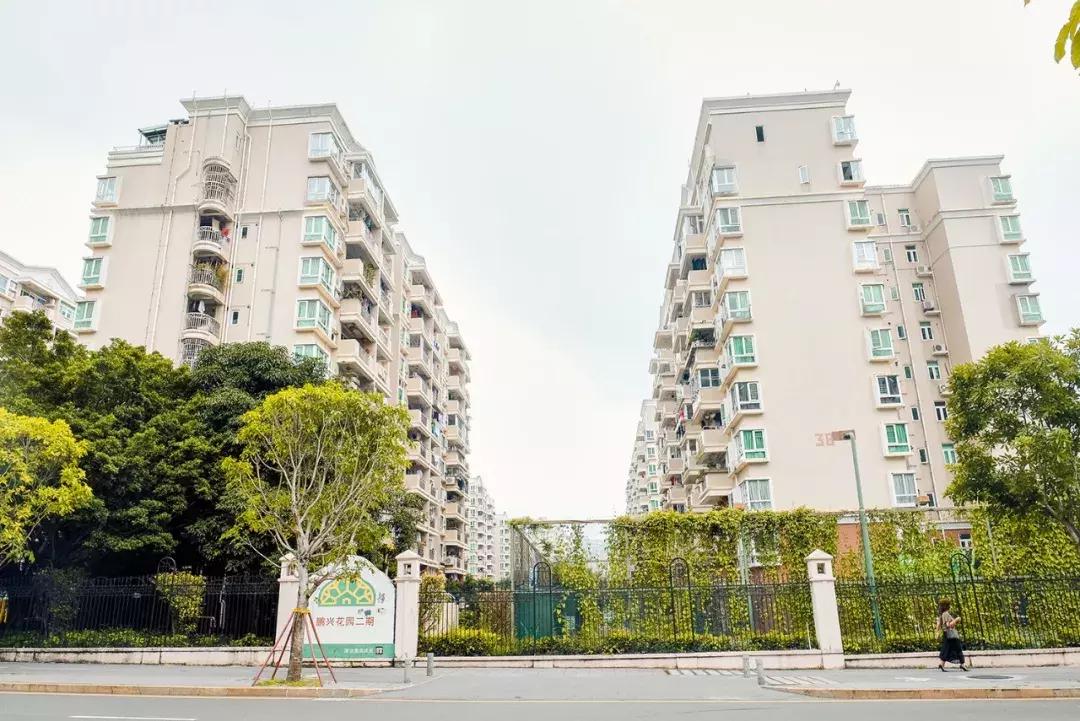 隐藏在梧桐山里的世外桃源,深山独门独户世外桃源