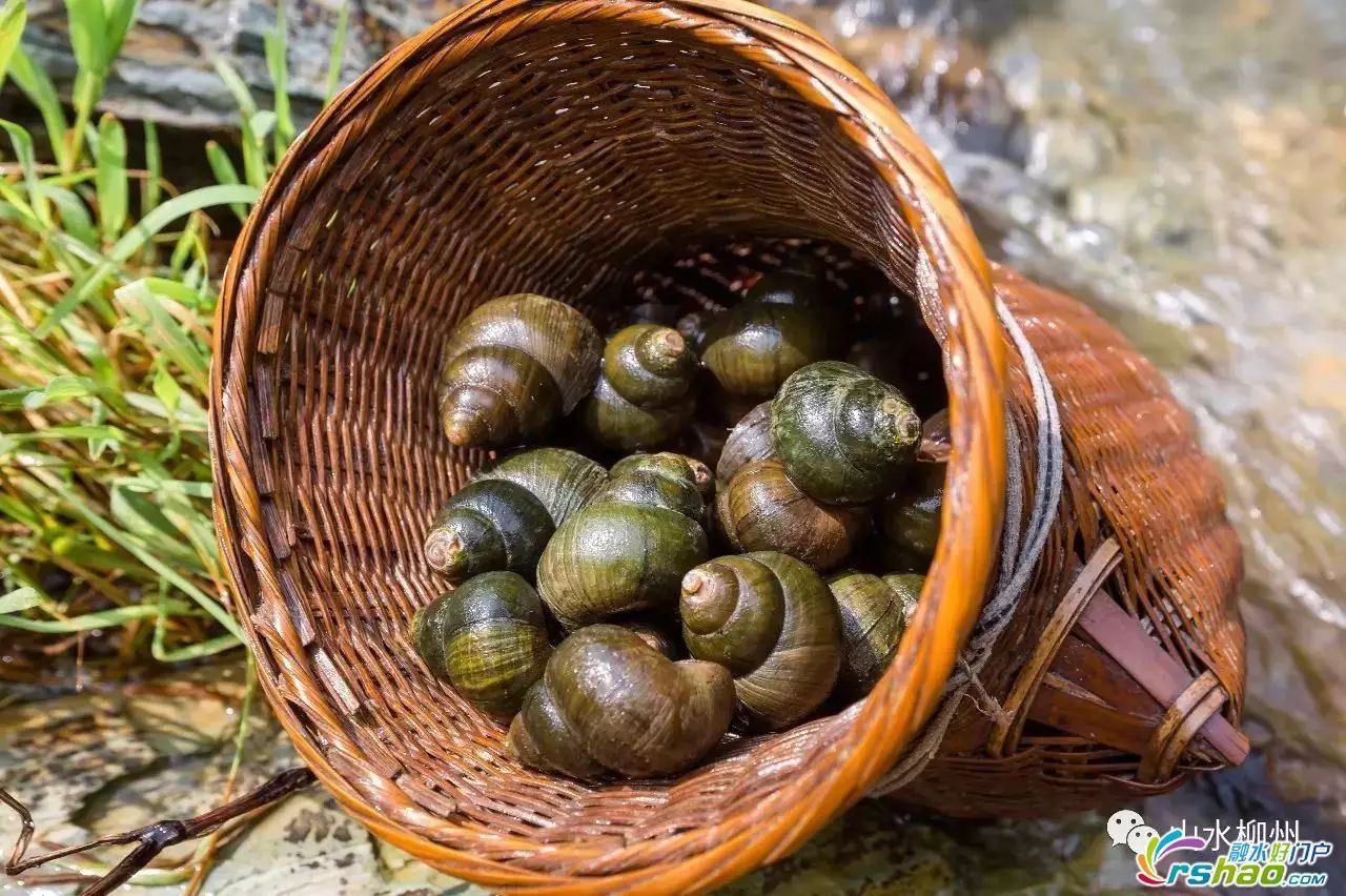 融水特色生态农业产业园,广西融水县特色产品