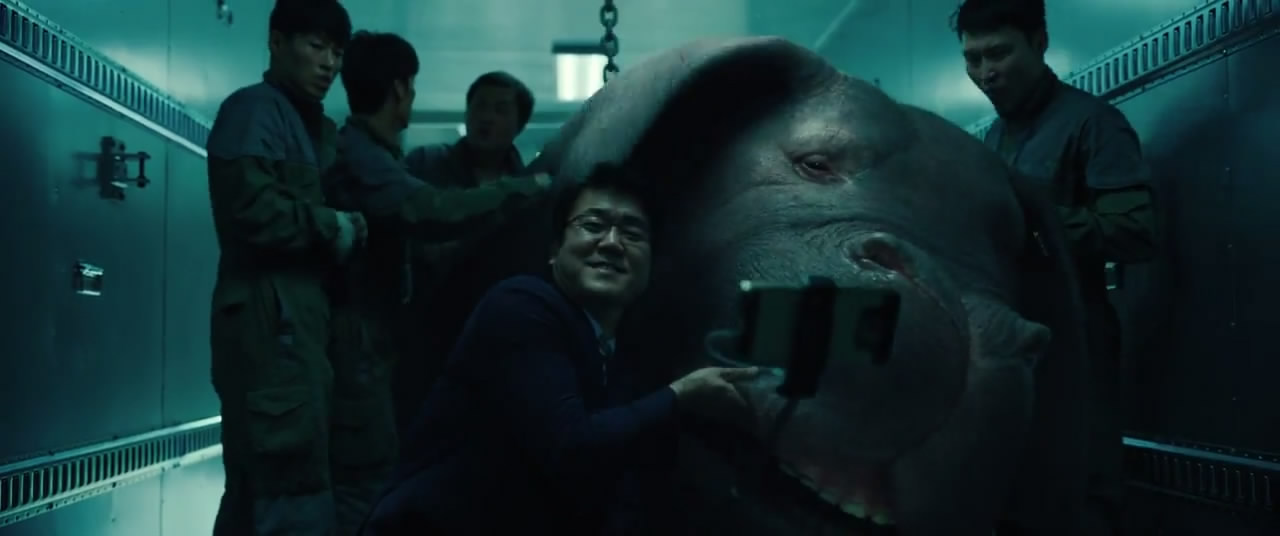 也许我们真的需要独自成长,或许我们真的需要经典作品来唤醒