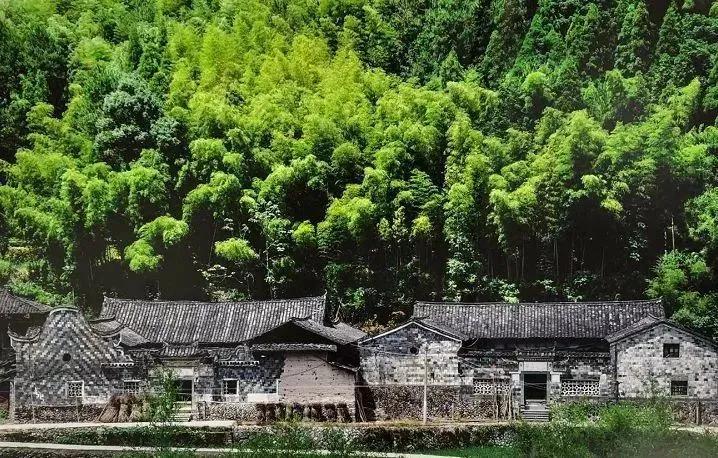 中国五大茶旅胜地,中国十大茶旅城市有哪些