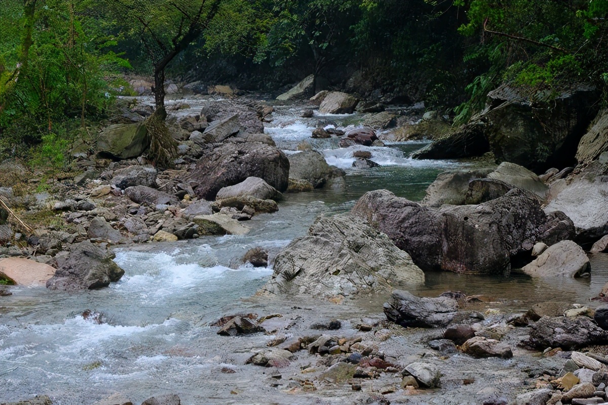 卡在一条鱼的身躯里