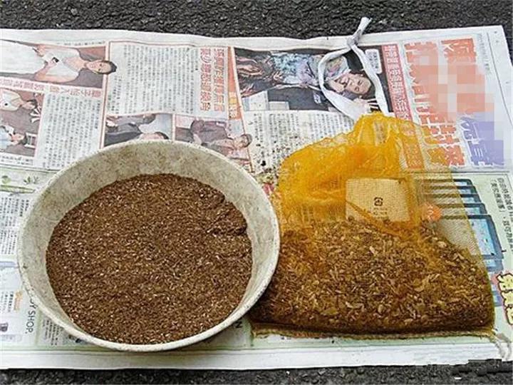 养花最好的颗粒土,碎砖养花的正确方法