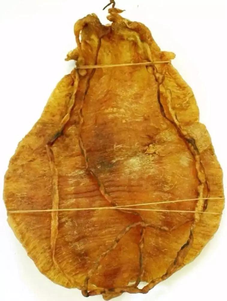 鱼胶前五名有哪些,鱼胶品种差别真的很大吗