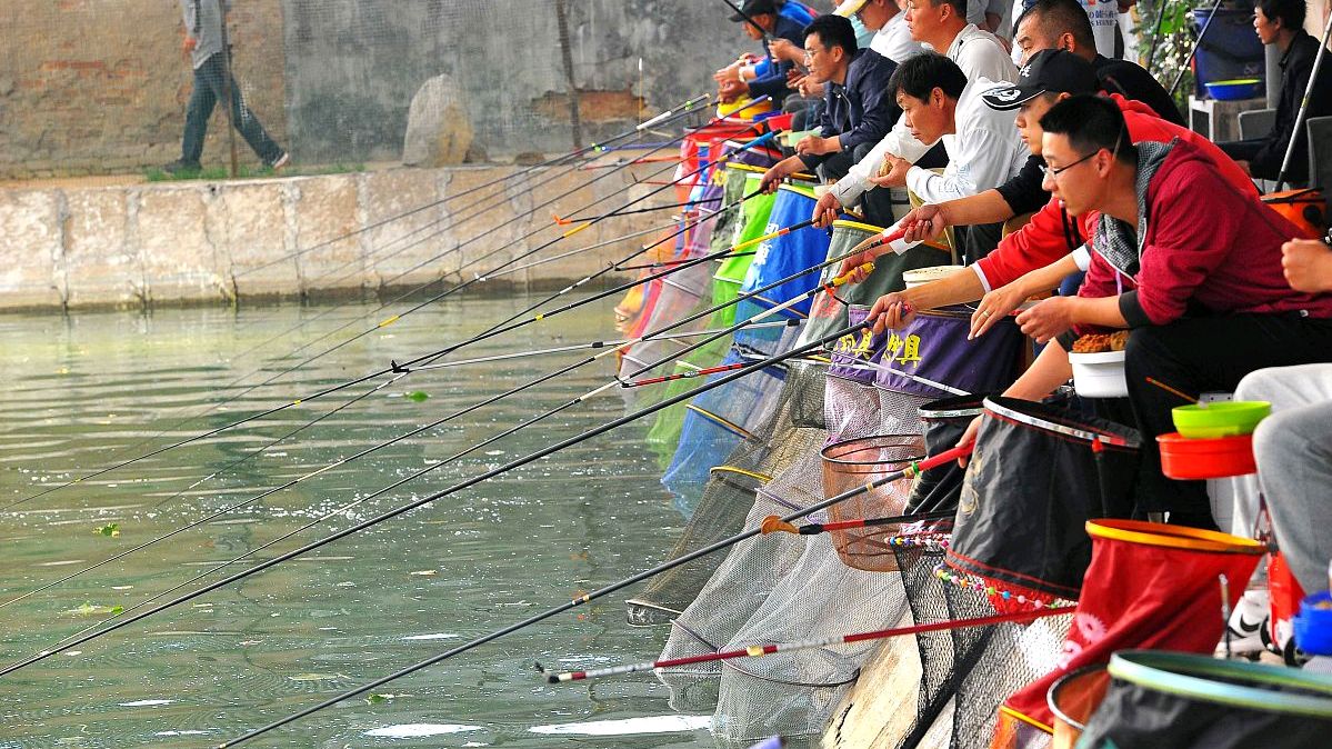 新手钓鱼要考虑什么,新手选鱼竿千万别盲目