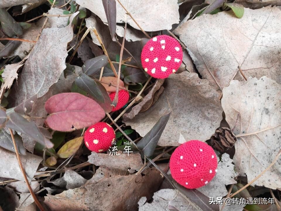 造物记/这些圣诞礼物的阵容太强大了!谁是造物主?