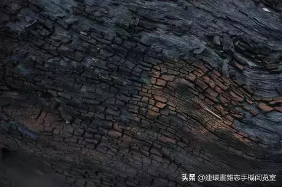 东方神木阴沉木传统乌木,阴沉木乌木手串怎么鉴别