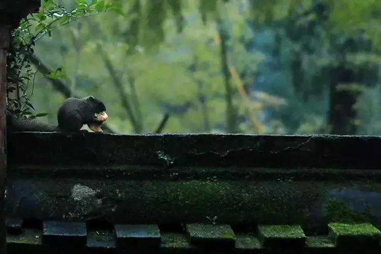 门海，中国人的福海