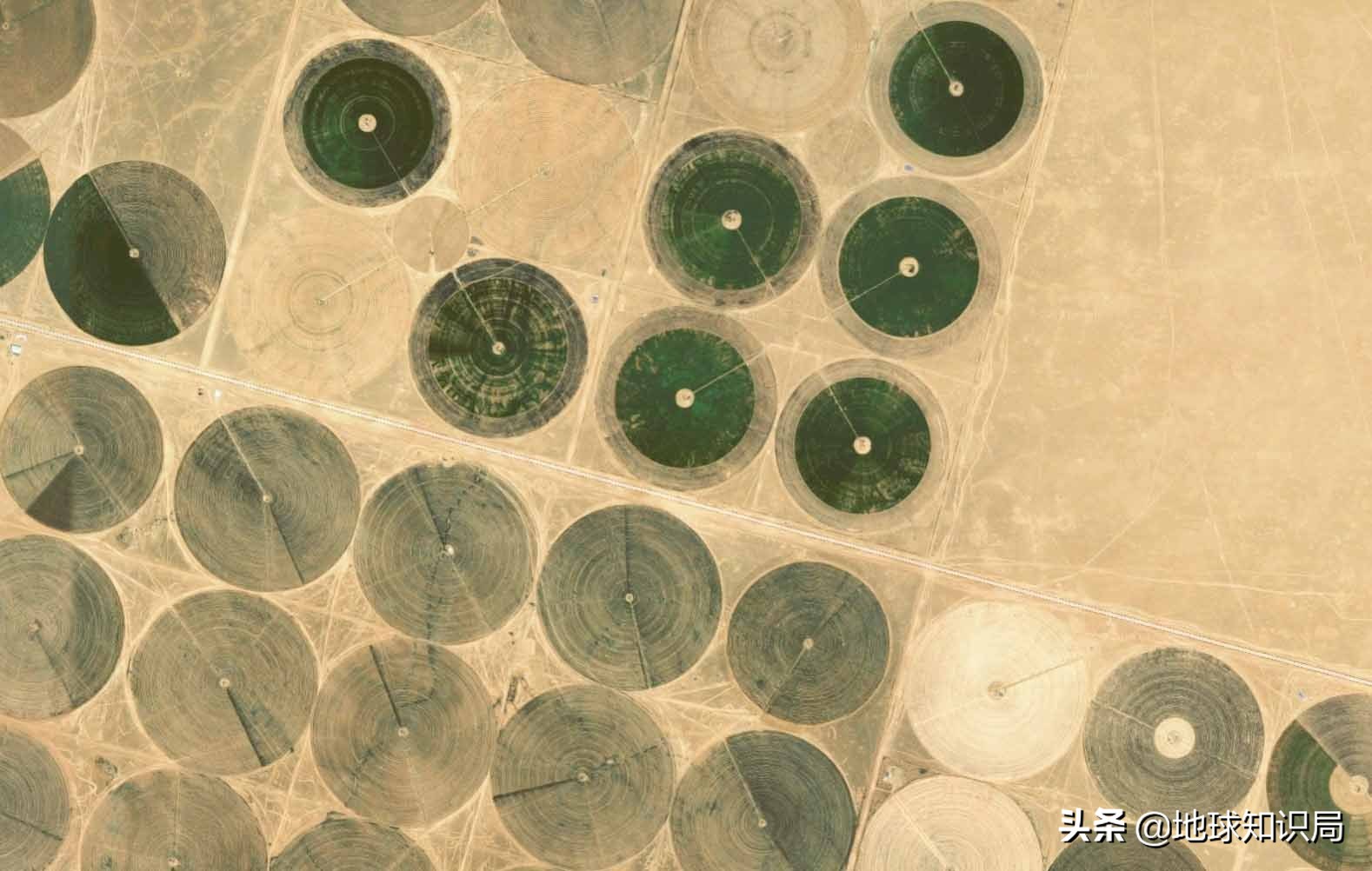 石油帝国遇袭！这个单一产业国家该何去何从|地球知识局