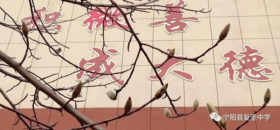 宁阳复圣中学校长李祥斌,宁阳李祥斌校长