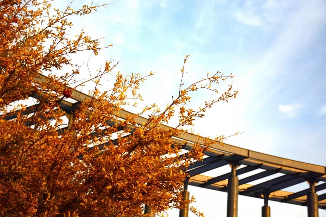 天津公办3+2本科学校有哪些,天津市专升本天津师范大学