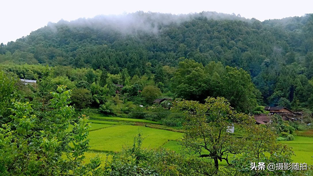 万源市竹峪镇东梨村,竹峪镇东梨村