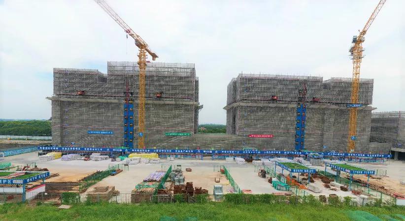 大局已定完整版视频,大局已定静待时机