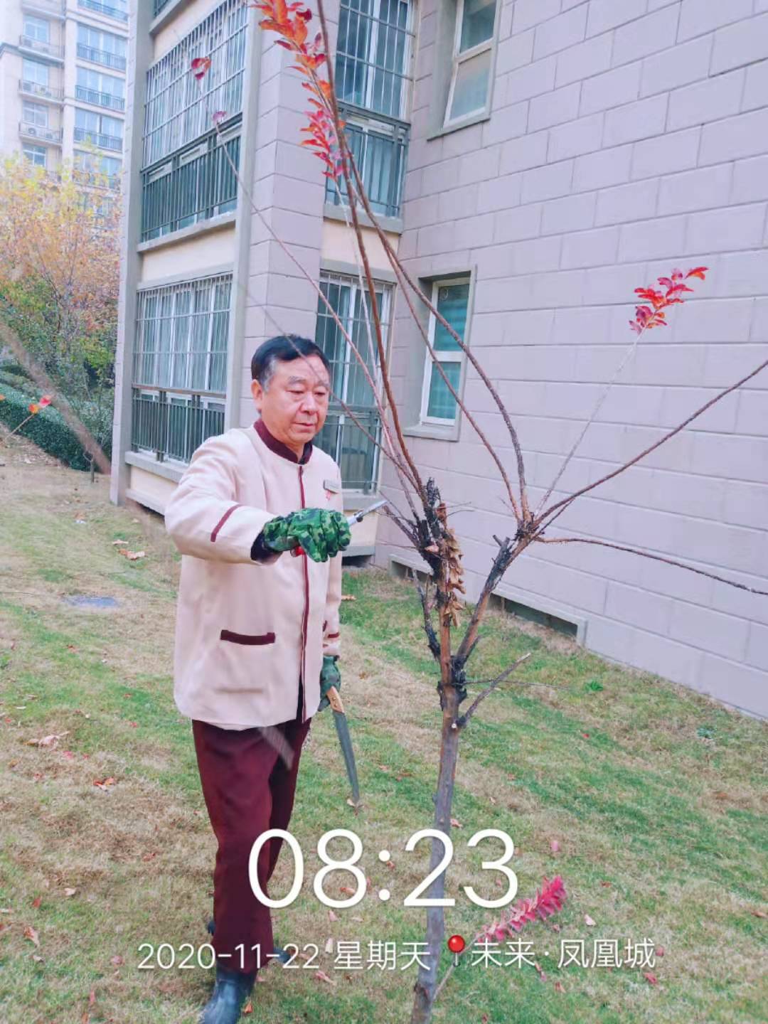 凤凰城二期物业管理,凤凰城物业现状