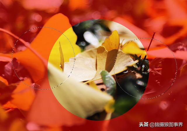 ps中的四类蒙版怎样应用,photoshop中如何添加蒙版