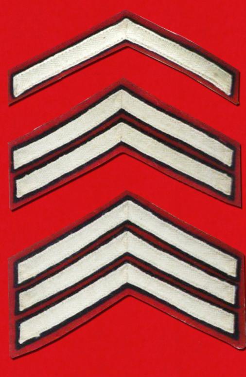 英国皇家卫队军衔图片,英国皇家5个步兵团