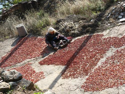 万仙山绝壁长廊十一能开车过去吗,万仙山绝壁长廊是世界八大奇迹吗