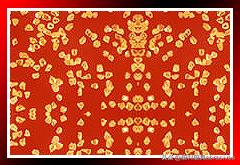 柘城县盛石金刚石制品厂,柘城金刚石批发