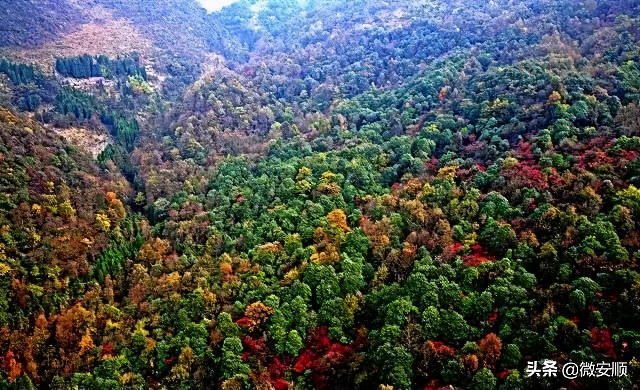 你好！我叫安顺，这是我2021最新简历