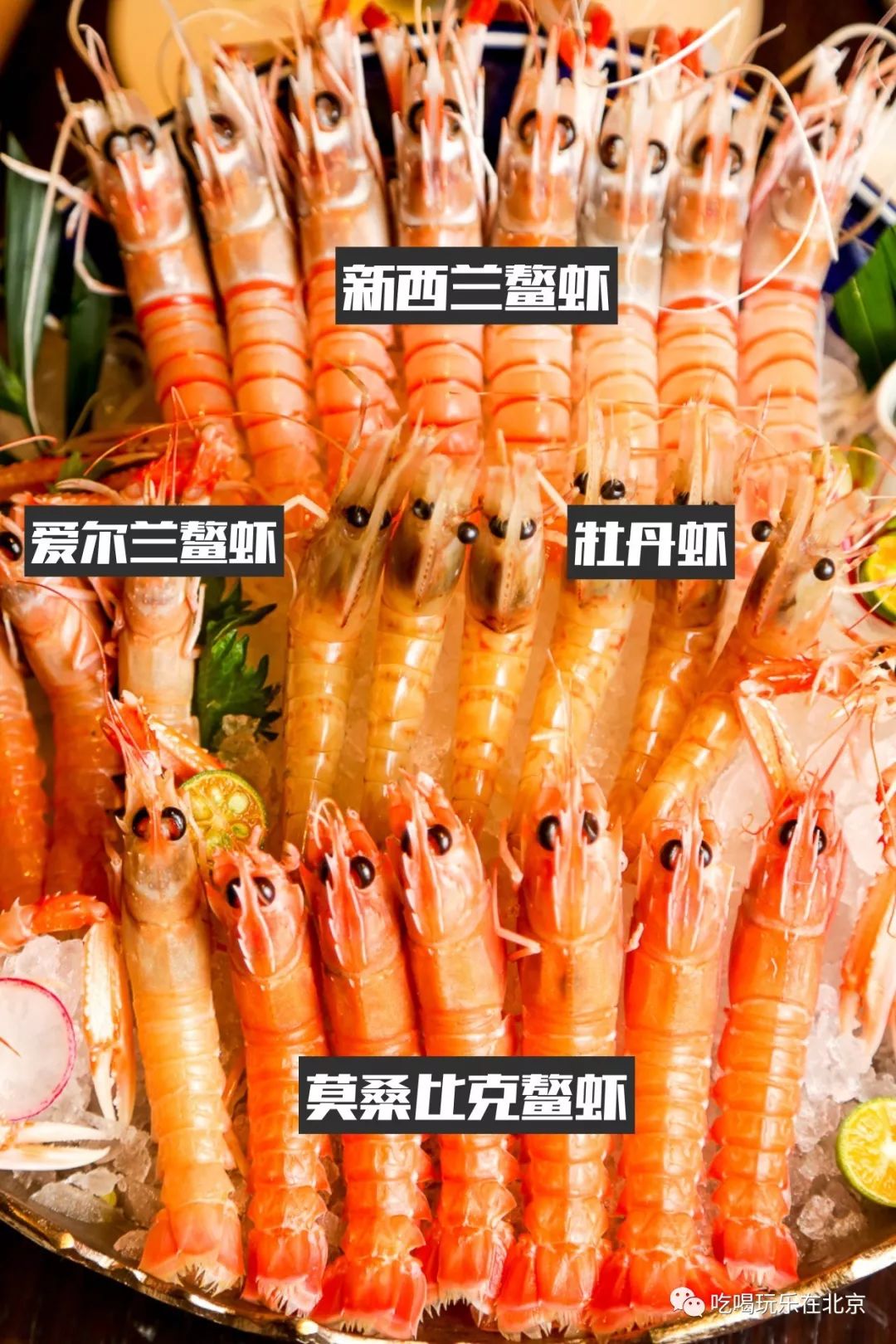 吃海鲜龙虾帝王蟹自助,海胆海鳌虾自助